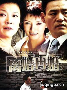 离婚再婚 离婚再婚剧情介绍(1-20全集)