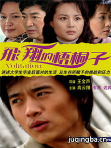 飞翔的梧桐子 飞翔的梧桐子剧情介绍(1-23全集)