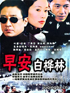 早安白桦林 早安白桦林剧情介绍(1-20全集)