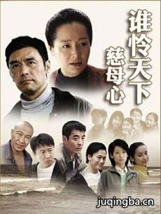 谁怜天下慈母心 谁怜天下慈母心剧情介绍(1-23全集)