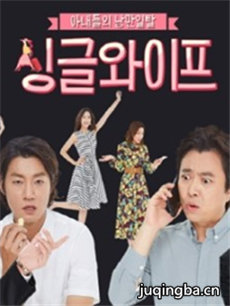 Single Wife 韩剧Single Wife剧情介绍(1-16全集)