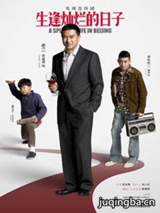 生逢灿烂的日子 生逢灿烂的日子剧情介绍(1-47全集)