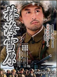 林海雪原 林海雪原剧情介绍(1-28全集)