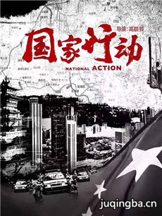 国家行动 国家行动剧情介绍(2017版)(1-30全集)