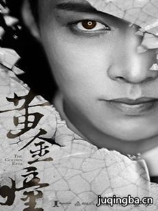 黄金瞳 电视剧黄金瞳剧情介绍(1-30全集)