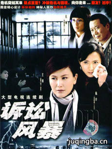 诉讼风暴 诉讼风暴剧情介绍(1-24全集)