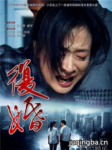 复婚 电视剧复婚剧情介绍(1-30全集)