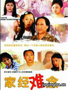 家经难念 家经难念剧情介绍(1-22全集)