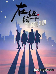 在纽约 在纽约剧情介绍(1-40全集)