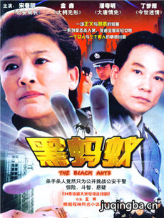 黑蚂蚁 黑蚂蚁剧情介绍(1-20全集)