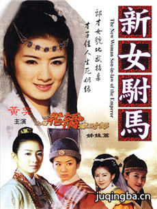 新女驸马 新女驸马剧情介绍(1-22全集)