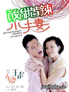 百炼夫妻 百炼夫妻剧情介绍(1-45全集)