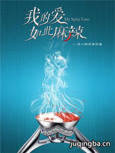我的爱如此麻辣 我的爱如此麻辣剧情介绍(1-40全集)