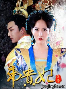 韦贵妃传奇 韦贵妃传奇剧情介绍(1-12全集)