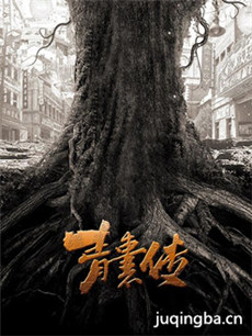 青囊传 青囊传剧情介绍(1-40全集)