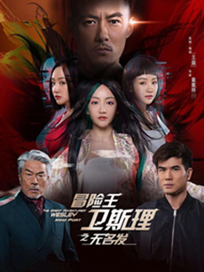 冒险王卫斯理之无名发 冒险王卫斯理之无名发剧情介绍...