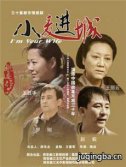 小麦进城 小麦进城剧情介绍(1-34全集)