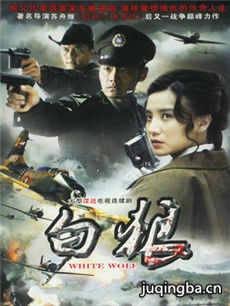 白狼 白狼剧情介绍(1-30全集)