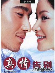 真情告别 真情告别剧情介绍(1-23全集)
