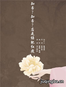 知否知否应是绿肥红瘦 知否知否应是绿肥红瘦剧情介绍...