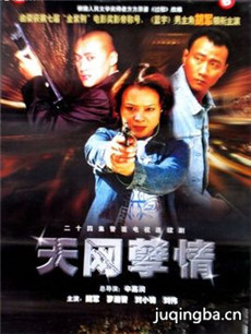 天网孽情 天网孽情剧情介绍(1-24全集)