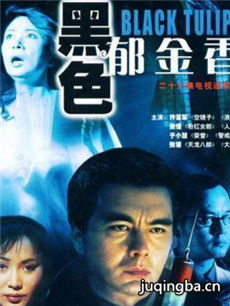 黑色郁金香 黑色郁金香剧情介绍(1-25全集)