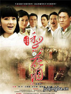 梨花泪 梨花泪剧情介绍(1-34全集)