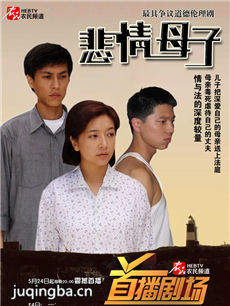 悲情母子 悲情母子剧情介绍(1-28全集)