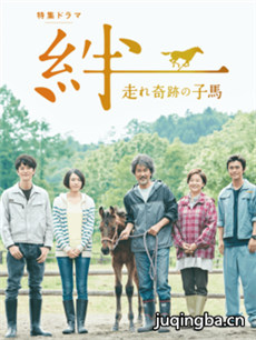 羁绊奔跑的奇迹小马 羁绊奔跑的奇迹小马剧情介绍(1-...