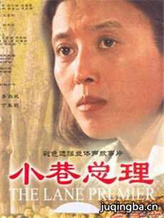 小巷总理 小巷总理剧情介绍(1-20全集)