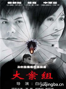 大案组 大案组剧情介绍(1-25全集)