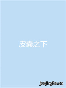 皮囊之下 皮囊之下剧情介绍(1-30全集)