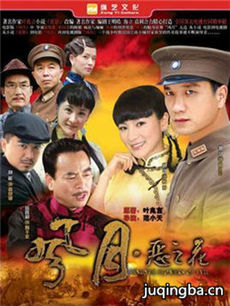 风月恶之花 风月恶之花剧情介绍(1-30全集)