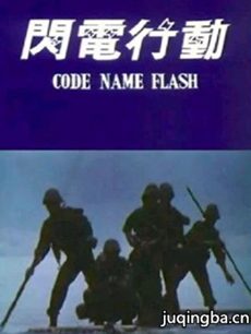 闪电行动 电视剧《闪电行动》剧情介绍(1-30全集)