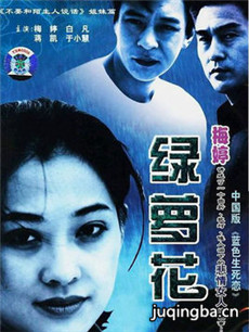 绿萝花 绿萝花剧情介绍(1-25全集)