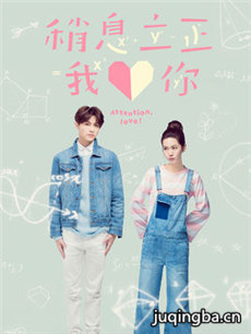 稍息立正我爱你 稍息立正我爱你剧情介绍(1-15全集)