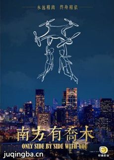 南方有乔木 南方有乔木剧情介绍(1-40全集)