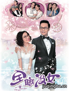 全职没女 全职没女剧情介绍(1-20全集)