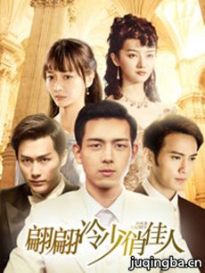 翩翩冷少俏佳人 翩翩冷少俏佳人剧情介绍(1-30全集)