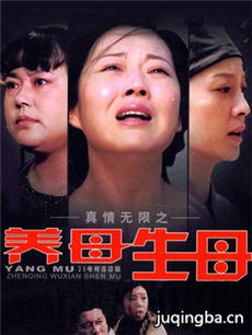 真情无限之养母生母 真情无限之养母生母剧情介绍(1-...