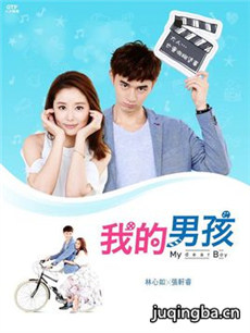 我的男孩 我的男孩剧情介绍(1-20全集)