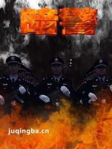 暗警 电视剧暗警剧情介绍(1-35全集)