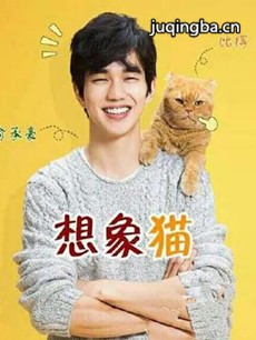 想象猫咪 韩剧想象猫咪剧情介绍(1-8全集)