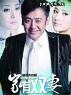 家有双妻 家有双妻剧情介绍(1-40全集)