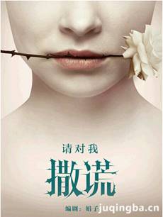 请对我撒谎 请对我撒谎剧情介绍(1-30全集)