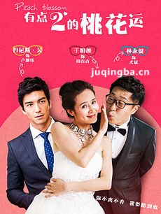 有点二的桃花运 有点二的桃花运剧情介绍(1-38全集)