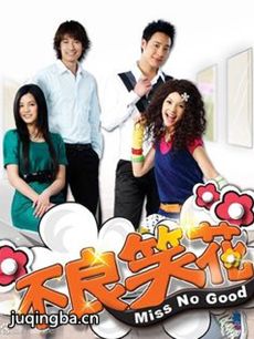 不良笑花 不良笑花剧情介绍(1-14全集)