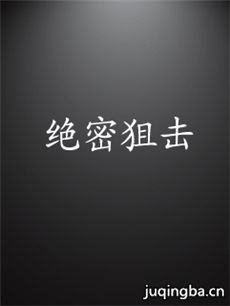 绝密狙击 绝密狙击剧情介绍(1-30全集)