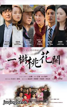 一树桃花开 电视剧《一树桃花开》剧情介绍(1-42全集...