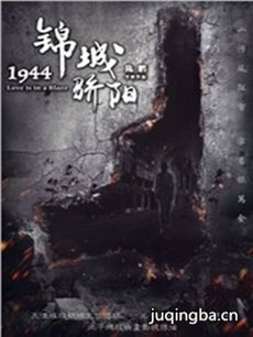 锦城骄阳 锦城骄阳剧情介绍(1-12全集)